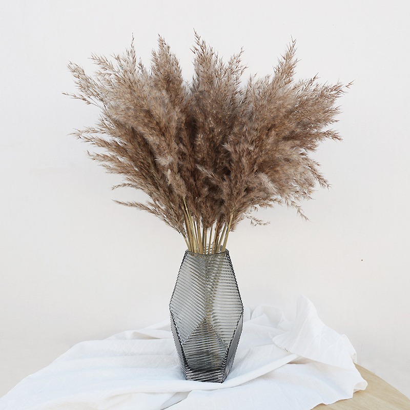 Florist Supply Vases - 10 ชิ้น ดอกแพมพัสแห้งหลากสีสันจากธรรมชาติ สำหรับตกแต่งแจกันบ้าน งานครบรอบ งานแต่งงาน
