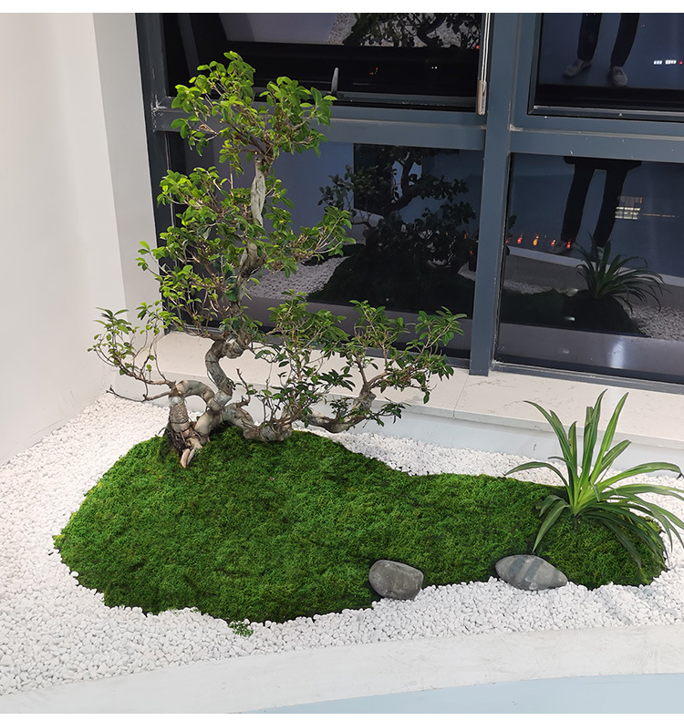 Preserved Moss Sheet - เส้นใยมอสเทียม มอสสนามหญ้า คน มอสปลอม ไม่ซีดจาง รูปแบบฉาก