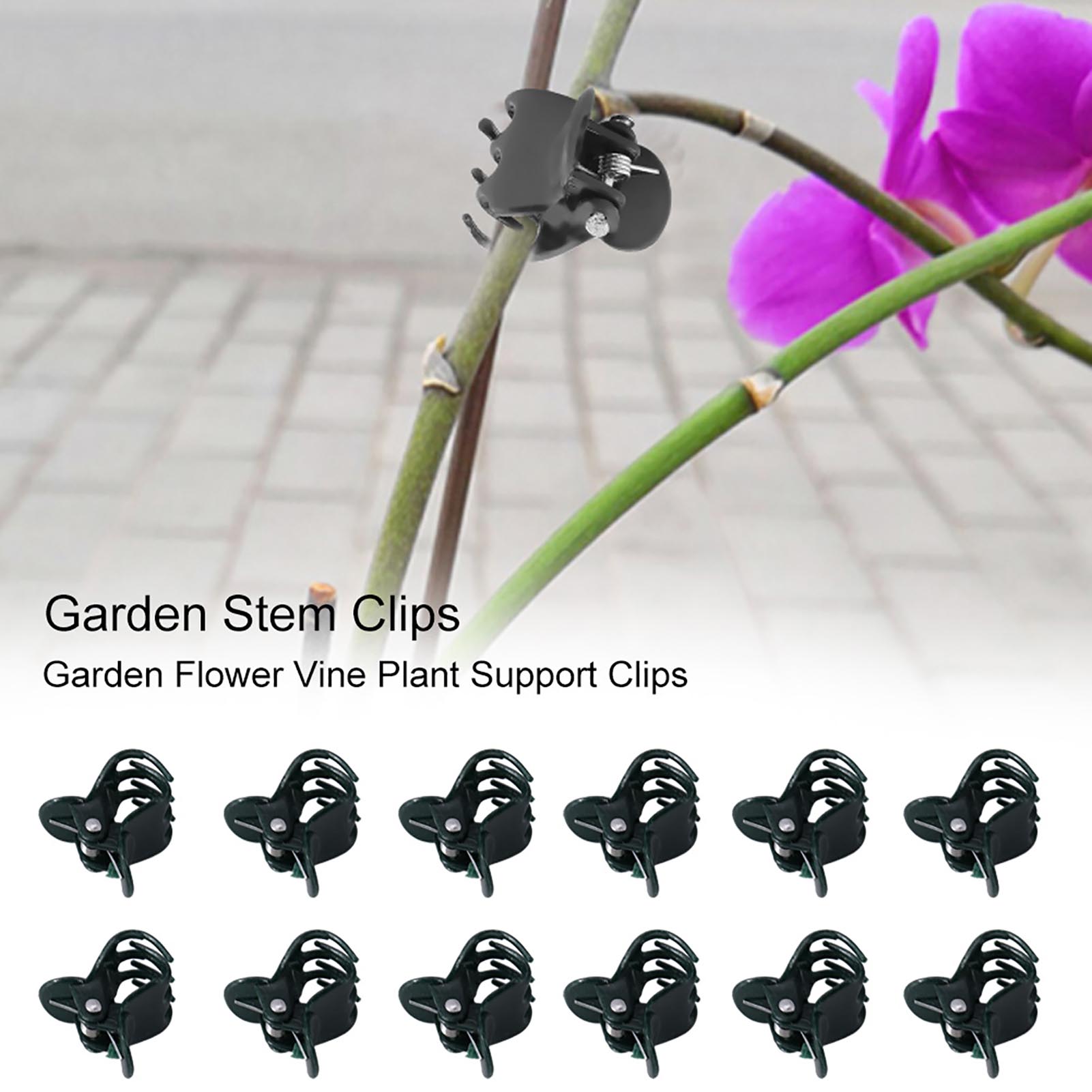 Florist Supply Bulk - 100 ชิ้น Mini Plant คลิปสวนดอกไม้สนับสนุนสําหรับ Orchid