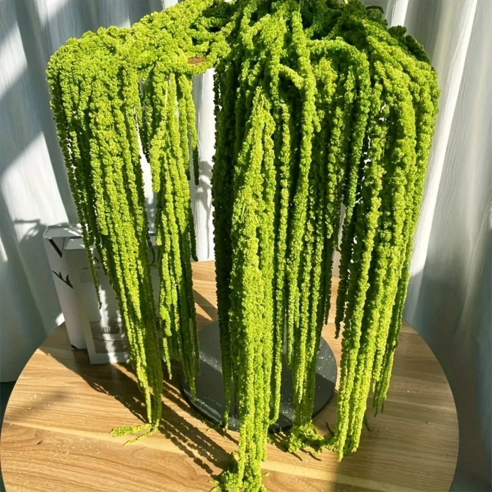 ชุดดอกอะมาแรนธัสประดิษฐ์ 4 ชิ้ - Preserved Moss Sheet บทวิจารณ์และราคา