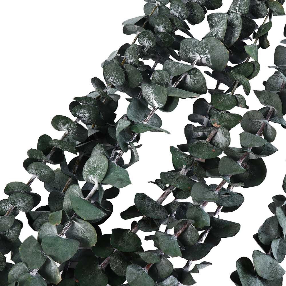 ใบยูคาลิปตัสแห้งแขวนตกแต่ง 10  - Eucalyptus Preserved บทวิจารณ์และราคา