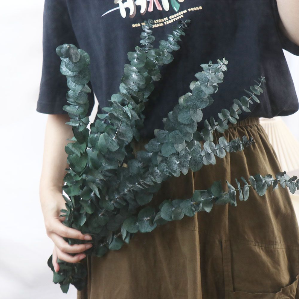 ใบยูคาลิปตัสแห้งแขวนตกแต่ง 10  - Eucalyptus Preserved บทวิจารณ์และราคา