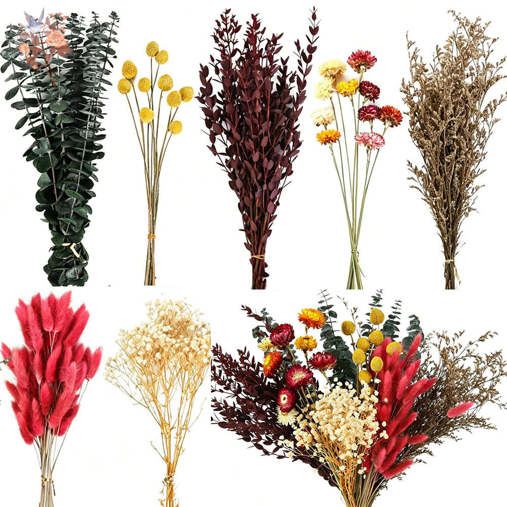 ชุดดอกไม้แห้งแบบขายส่ง 7 ชนิด  - Florist Flower Supply บทวิจารณ์และราคา