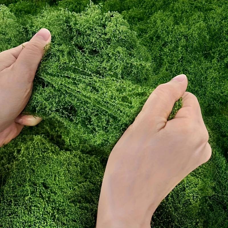 แผ่นมอสเทียมขนาด 20' x 20' สีเ - Preserved Moss Sheet บทวิจารณ์และราคา