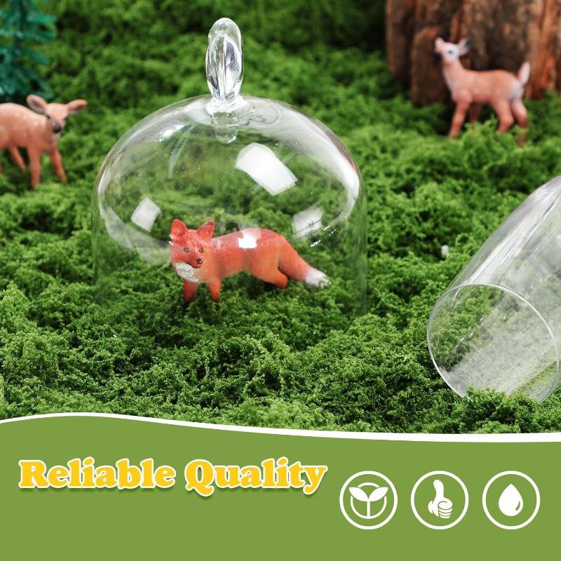 แผ่นมอสเทียมขนาด 20' x 20' สีเ - Preserved Moss Sheet บทวิจารณ์และราคา