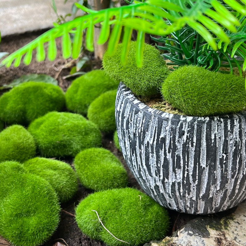 100/5 ชิ้น หินมอสประดิษฐ์ หินม - Preserved Moss Sheet บทวิจารณ์และราคา