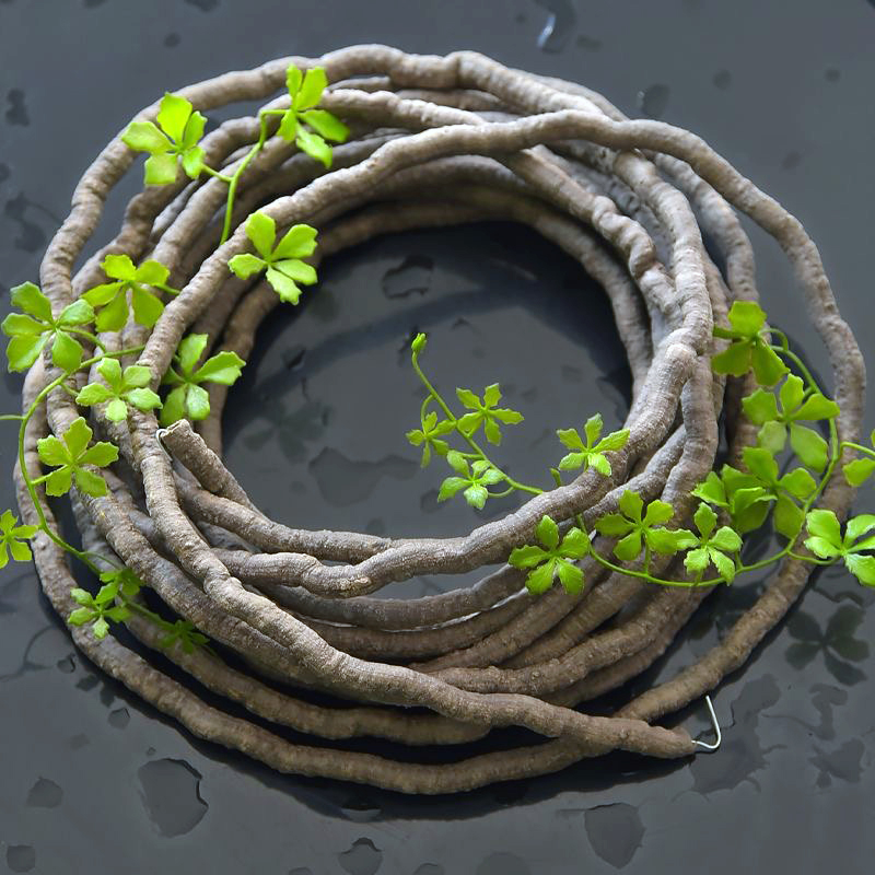 ต้นไม้เลื้อยประดิษฐ์ ขนาด 39.3 - Preserved Moss Sheet บทวิจารณ์และราคา