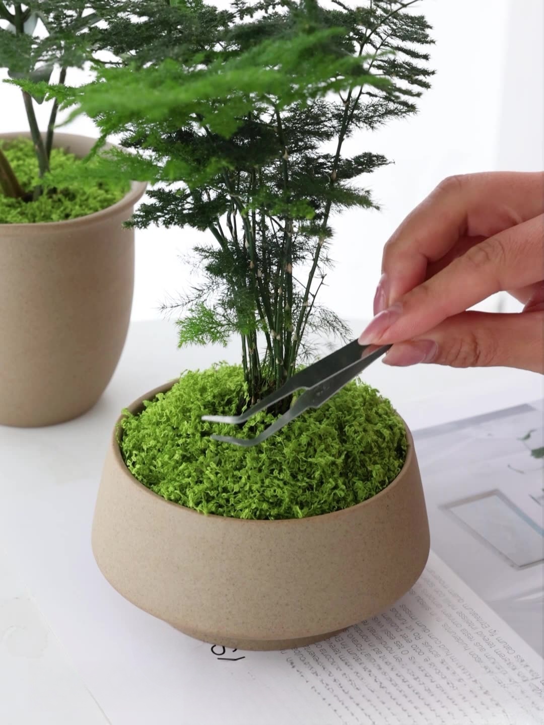 เส้นใยมอสเทียม มอสสนามหญ้า คน  - Preserved Moss Sheet บทวิจารณ์และราคา