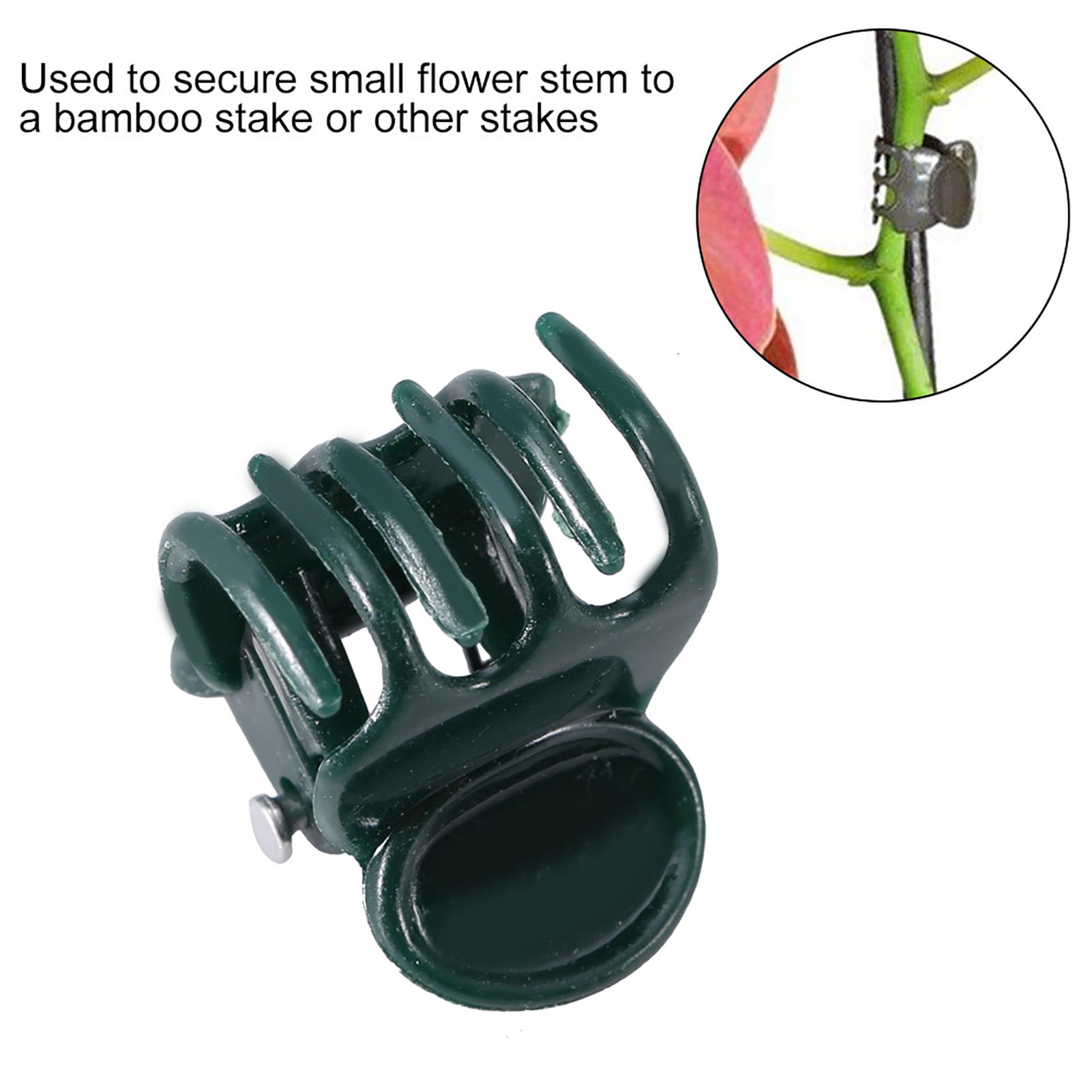100 ชิ้น Mini Plant คลิปสวนดอก - Florist Supply Bulk บทวิจารณ์และราคา