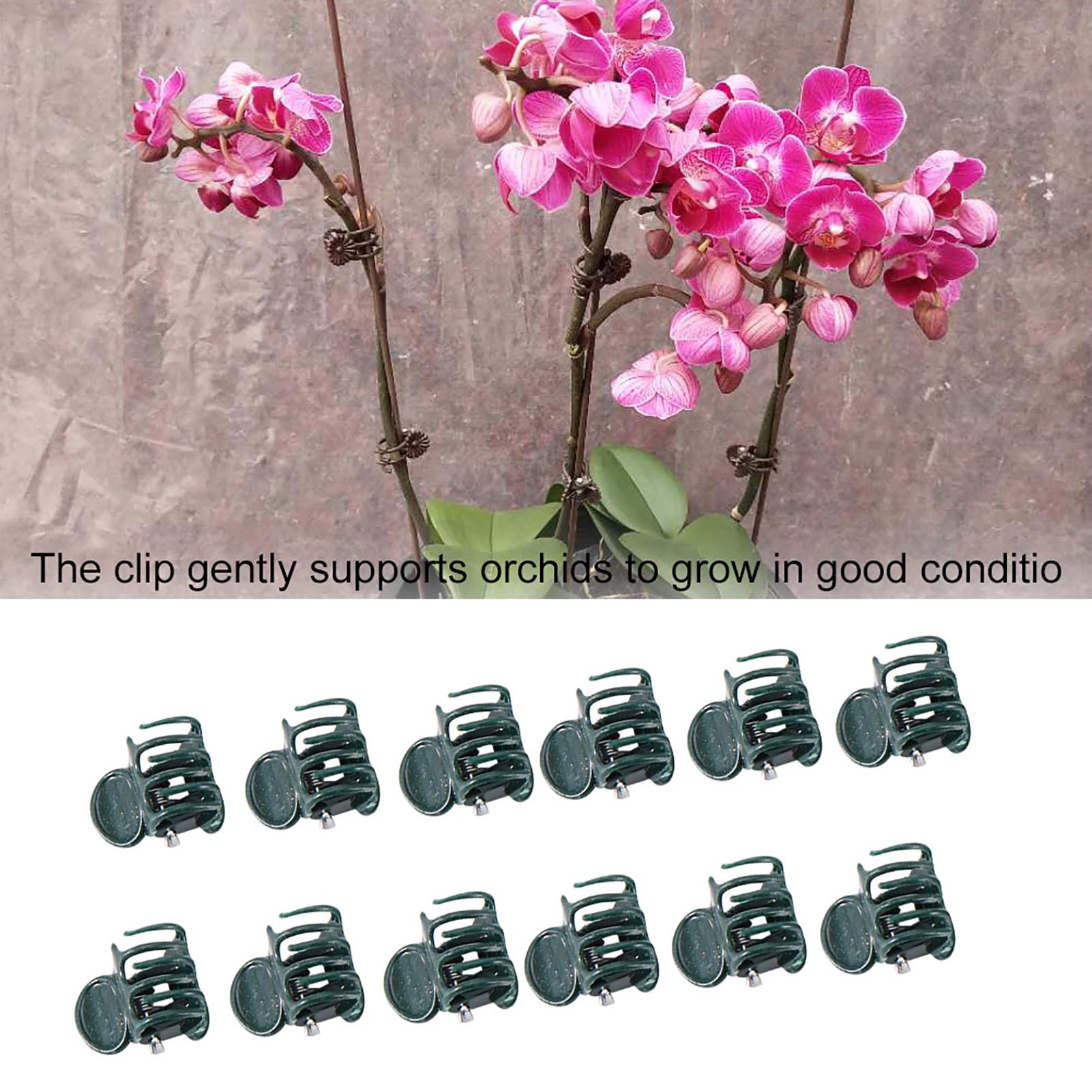 100 ชิ้น Mini Plant คลิปสวนดอก - Florist Supply Bulk บทวิจารณ์และราคา