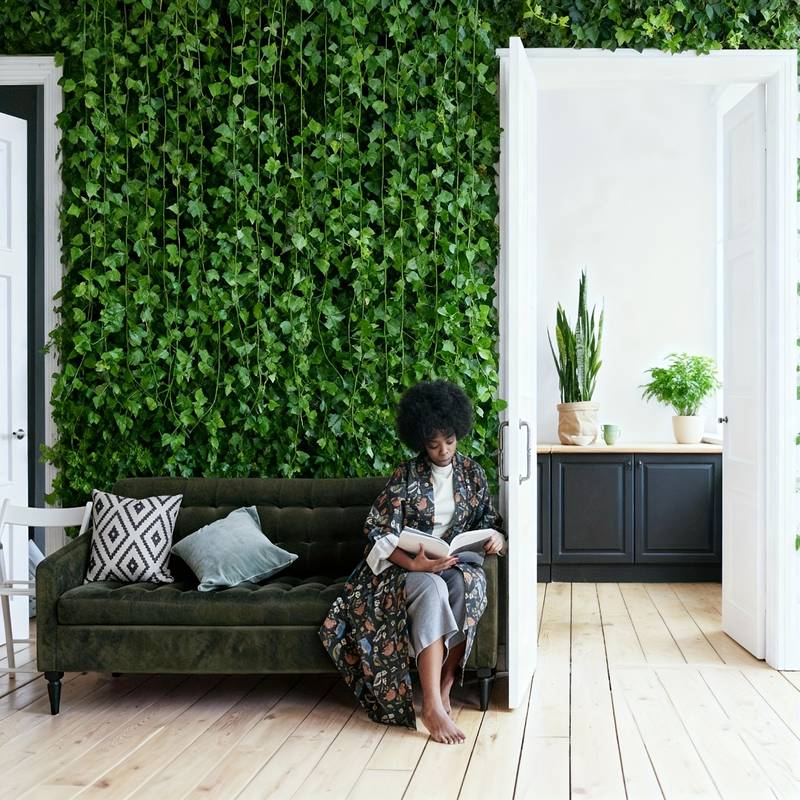 พวงมาลัยไอวี่ 24 ชิ้น ยาว 19 เ - Preserved Moss Sheet บทวิจารณ์และราคา