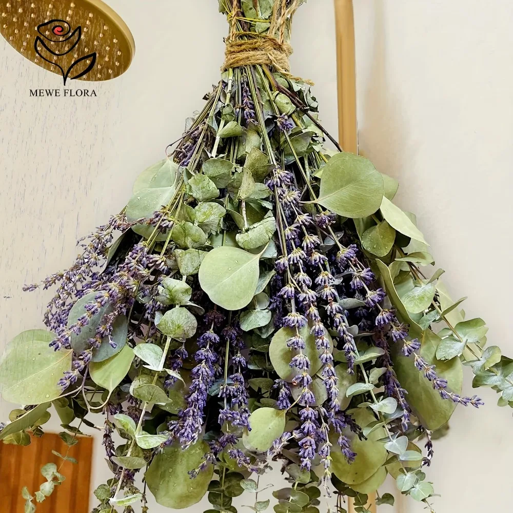 30 ชิ้นดอกไม้แห้ง Preserved Eu - Eucalyptus Preserved บทวิจารณ์และราคา