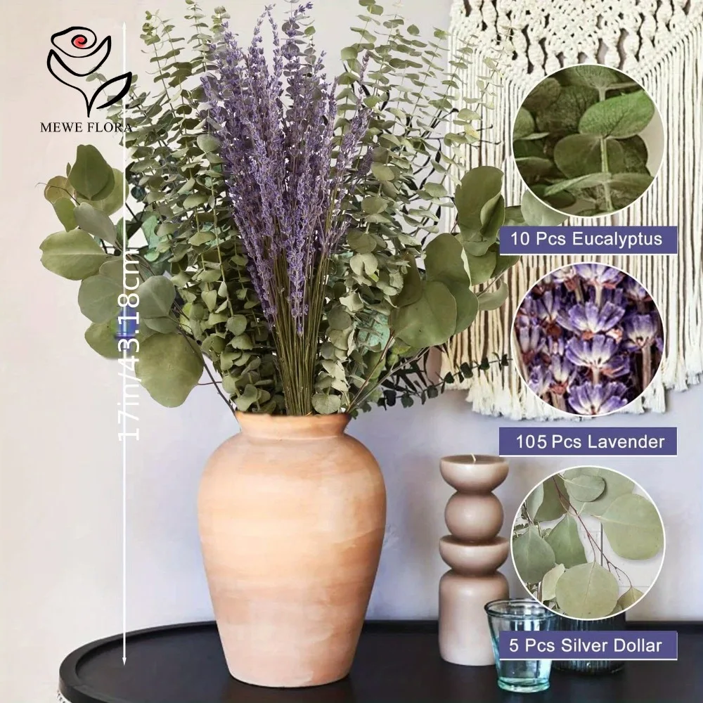 30 ชิ้นดอกไม้แห้ง Preserved Eu - Eucalyptus Preserved บทวิจารณ์และราคา