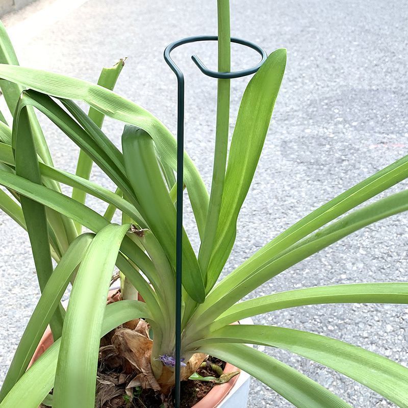 1-10pcs โลหะ SINGLE Stem พืชไม - Florist Supply Bulk บทวิจารณ์และราคา