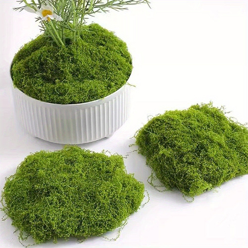 สีเขียวปลอม Moss งานฝีมือ DIY  - Preserved Moss Sheet บทวิจารณ์และราคา
