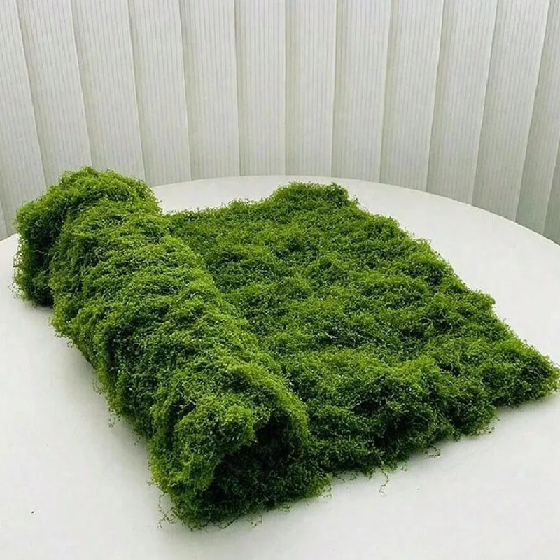 มอสเทียมสำหรับตกแต่งภูมิทัศน์ข - Preserved Moss Sheet บทวิจารณ์และราคา