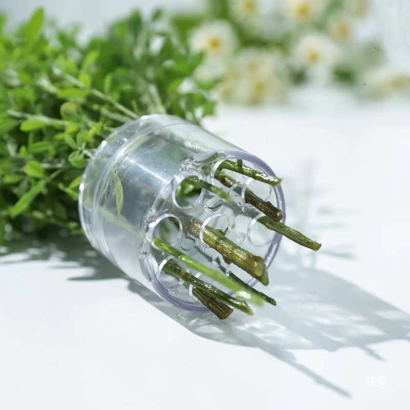 เกลียวผู้ถือ Stem ทนทาน CLEAR  - Florist Supply Bulk บทวิจารณ์และราคา